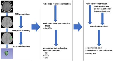 Frontiers | A Multiparametric MRI-Based Radiomics Nomogram For ...